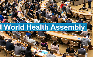 14友邦提案台灣進世衛  WHA裁定延至年底復會處理