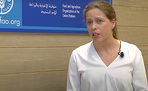 武漢肺炎》養貂場工人中標！荷蘭農業部：疑似被雪貂傳染