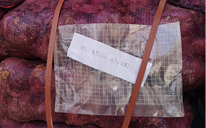 前女友520送一噸洋蔥說 : 該你哭了! 他轉手賣1000多人民幣偷笑