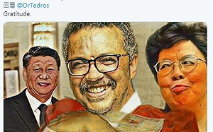 WHA落幕！譚德塞一字推文感謝 慘遭全球網友「一個單字」洗版