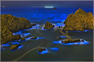 第一次追淚就上手！4個最適合新手的馬祖藍眼淚拍攝點