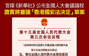 台獨是死胡同？台籍人大稱：「港版國安法」解決台灣問題值得借鑒