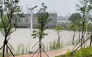 高市三民正興里未淹水 里長：感謝花媽做了十全滯洪池