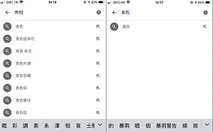 被維穩？唯獨「黃色」搜尋沒建議結果  港網友質疑谷歌「顏色革命」