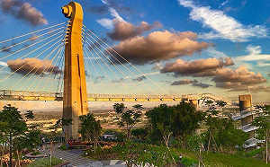 豪大雨致樹木傾倒 高雄崗山之眼園區今明休園整理