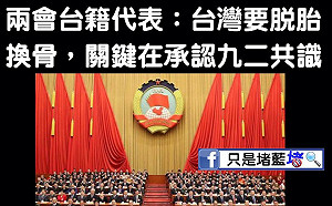 兩會台籍代表挺九二共識 只是堵藍：哪裏來的奇怪代表啦