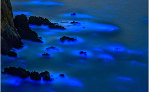 拍出代表作！馬祖藍眼淚這樣拍效果最好