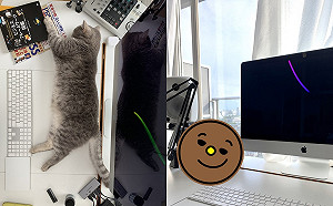 (影)在家工作快被主子逼瘋？男子一招神技解決：把貓咪「收納」好