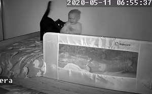 家裡多了新生兒黑貓嚇壞　幾天後卻被抓包偷找寶寶熱情撒嬌！