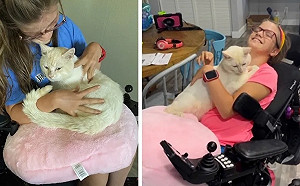 (影)其他貓遇電動輪椅全逃跑「真命天喵」卻一見她就撲上：當我家人吧！