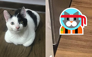 愛貓不見媽心急如焚找半天　小屁喵「默默滑出」：妳找我？