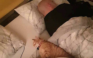 鄰居橘貓每天溜進家門陪睡整晚　男子：其實我才是寵物啦！