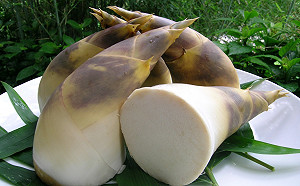 防疫零接觸 新北綠竹社區綠竹筍宅配到家 