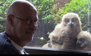 (影)貓頭鷹自來築巢！「3巨嬰」見房東看電視竟跟著排排坐　網：會被帶壞