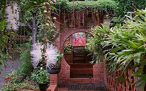 藝文剪影》雨夜花