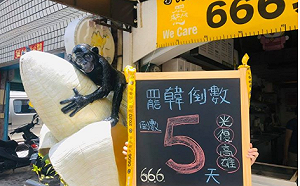 韓黑首腦店家：沒吃到香蕉冰不會死 但.....會被笑死