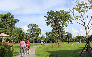 夏日電價啟動！夜貓子這樣省電最划算