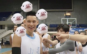 巧合？林書豪影片大談6、4 小粉紅讚強沒提舉報