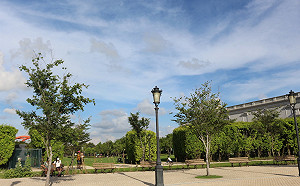 全台6縣市高溫狂飆36度！台東中午留意焚風