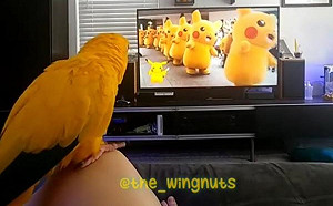 (影)是我朋友！金黃鸚鵡見皮卡丘大遊行　舞棍上身嗨翻全場