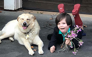 5歲弟想婚！挑吉日盛裝「求婚愛犬」：我長大牠就不在了