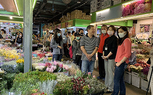 疫情衝擊花卉營業額狂掉1.5億！北市市場處搶攻畢業季商機