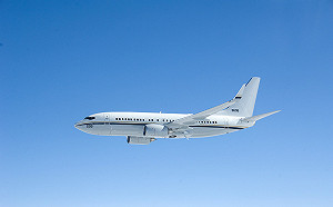 美國參眾議員搭軍機訪台！總統府：無進一步說明 外交部：提供行政協助