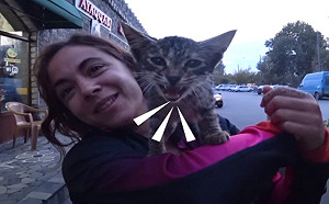 兩名女子單車旅行遇見小浪貓大叫：可以加入嗎？