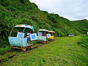 「真心款待」金新互惠遊 金門首發團80人抵新北