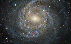 撞了才知道! 大型強子對撞機又發現3種外來粒子 盼解宇宙「暗物質」謎團