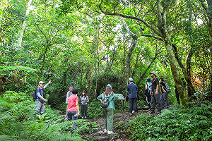 專人帶領遊程！登都蘭山頂飽覽太平洋、東海岸線美景