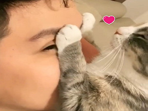 (影)怪癖三花貓愛睡奴才臉上　瞇眼享受：給你滿滿朕的氣息！