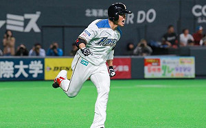 日職／日媒預測　王柏融、陽岱鋼都在開幕名單