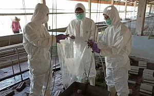 「十足目虹彩病毒」入侵台灣養殖場！ 6縣市遭攻陷 農委會緊急檢疫