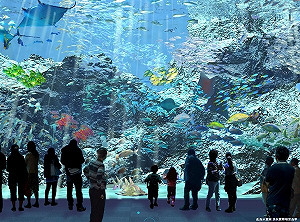 桃捷小旅行！一日票半價優惠  踏青野餐不塞車