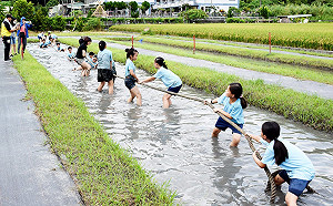 八堡圳小旅行！3路線走入300年歷史獨有圳頭風情