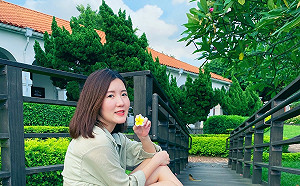 淡古小白宮百年雞蛋花超美 端午連假歡迎賞花