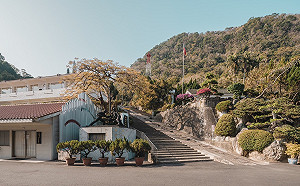 逛日式宿舍聞檜木香！苗栗出磺坑文創園區成在地私房景點
