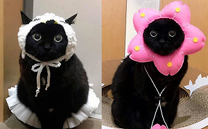 (影)誰說黑貓不上相？來看看歐嚕嚕喵星人超百搭的裝扮吧！