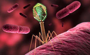 病毒不一定都壞壞！這款竟能揪出食品中毒事件元兇