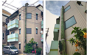 仙人掌從路邊長到3樓！萬人看呆：這是根「間諜電線桿」