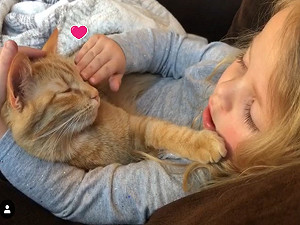 (影)女孩抱橘貓深情歌唱　畫面超溫馨療癒！