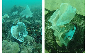 疫情後竟出現「廢棄口罩海」　畫面震驚專家：比水母還多