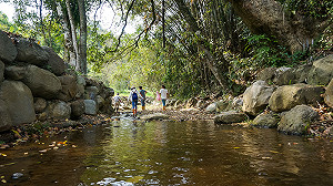 與振興券同步！250元農遊券延至7月發行