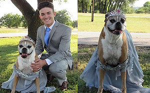 畢業舞會被取消　少年帶燦笑愛犬穿禮服：我們自己辦！