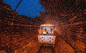 深澳鐵道自行車夏季限定！乘夜間班次星光下漫遊夏日燈海