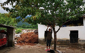 四川冕寧縣連日暴雨釀洪災   11歲女孩緊抓樹獲救