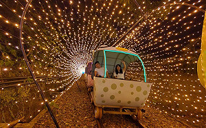 深澳RailBike7至9月加開星光夜騎 另推多項優惠