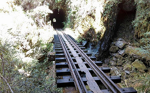 走入鐵道秘境 嘉義眠月線尋找遺落森鐵歷史