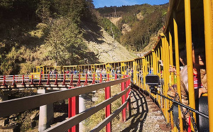 太平山蹦蹦車7/10復駛！試營運期4天票價50元